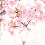 【大阪大学合格】阪大数学１割だった生徒がたった3ヶ月で7割取れた方法