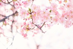 【大阪大学合格】阪大数学1割だった生徒がたった3ヶ月で7割取れた方法