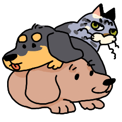 大学院留学生が語る 大嫌いな英語を頑張って勉強し続けた結果鬱になった話 数学は日常に